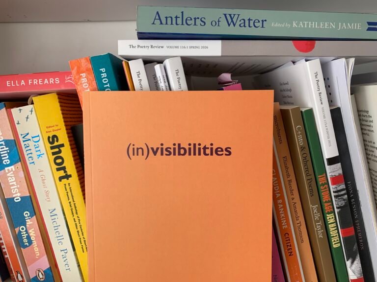 (in)visibilities